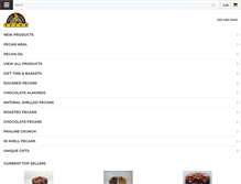 Tablet Screenshot of pcpecan.com